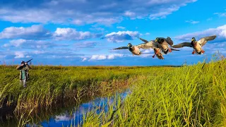 DUCK HUNTING FROM APPROACH through ditches. Duck hunting in autumn