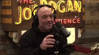 Joe Rogan How to Get Guests on Podcast - Pauly Shore