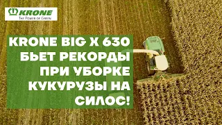 KRONE BIG X 630 бьет рекорды при уборке кукурузы на силос!