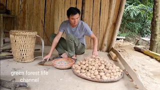 Robert grows potatoes and takes care of vegetables. Green forest life (ep231)