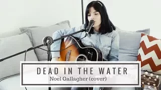 Dead in the Water - Noel Gallagher's High Flying Birds (cover)