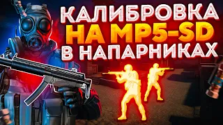 КАЛИБРОВКА НА MP5-SD В НАПАРНИКАХ CS:GO