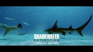 SHARKWATER EXTINCTION Official Trailer [4K ULTRA HD]