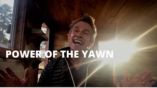 The Power of the Yawn