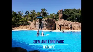 Siam and Loro parque in Tenerife - The best parks in the world, water kingdom and animal adventure