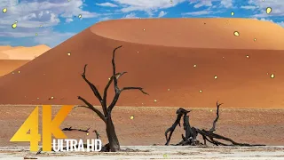 Spectacular Namibia and Botswana in 4K UHD -  Discovering The Deserts   African Relax