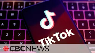 If you use TikTok, China can spy on you, says CSIS director