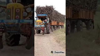 Hindustan pulling 2 loaded sugarcane trolleys