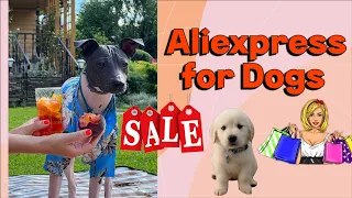 Распаковка товаров для животных с Алиэкспресс. Aliexpress Shopping for Dogs Unpacking