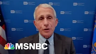 Dr. Fauci: Monkeypox Response Must Be Free Of Stigmas And ‘Bureaucratic Hoops’