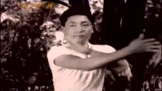 陈照奎 陈太极拳 Chen Zhaokui Available Footage Chen Taijiquan