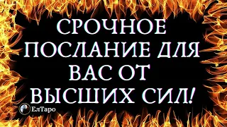 ГАДАНИЕ ТАРО ОНЛАЙН. ТАРО ДЛЯ МУЖЧИН. СРОЧНОЕ ПОСЛАНИЕ ОТ ВЫСШИХ СИЛ. ЧТО ХОТЯТ ПЕРЕДАТЬ ВЫСШИЕ СИЛЫ