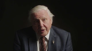 Sir David Attenborough introduces The Lion’s Share, a simple way to make a powerful difference