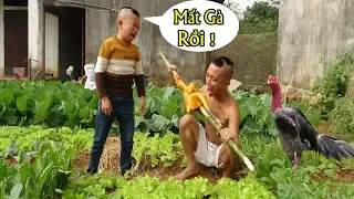 Bắt Trộm Gà Trọi Mao Đệ Nướng Thử Phản Ứng Khi Mất Gà Của Mao Đệ - Cười Rơi Nước Mắt