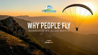 Why People Fly — Flybubble