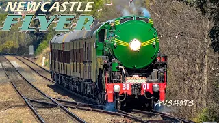 "The Newcastle Flyer" | 3801 Steam Locomotive | Transfer to Eveleigh | Menangle Park | 20x Zoom