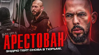 Эндрю Тейта СНОВА АРЕСТОВАЛИ! Последние новости Братьев Тейт.