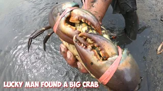 Wow ...!!! A man found a lot of big crabs in the hole