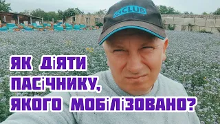 ✅Мобілізація пасічників - реальні кейси