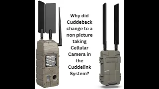 Why did Cuddeback switch to a non picture taking Cellular Camera in the Cuddelink System?