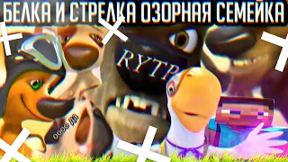 ИЗДЕВАЮСЬ НАД СОБАКАМИ | БЕЛКА И СТРЕЛКА RYTP СБОРНИК ПРИКОЛОВ