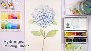 How to Paint a Blue Hydrangea in Watercolor | Learn Colors for Beginners