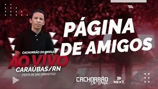 Página de Amigos - DVD CACHORRÃO DO BREGA - AO VIVO EM CARAÚBAS/RN