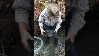 Prospector John's Gold Panning Experience At The Shop