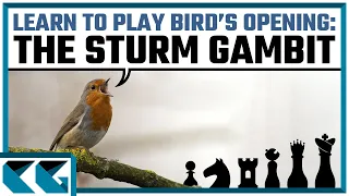 Chess Openings: Learn to Play the Sturm Gambit of the Bird's Opening!