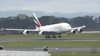 Live Stream from Auckland International Airport, New Zealand