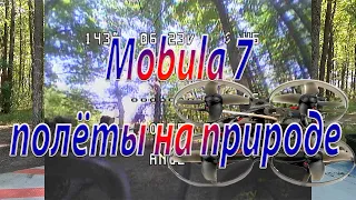 Квадрокоптер Mobula 7 полеты по FPV на природе