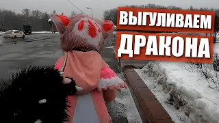 😏 Выгуливаю дракончика ✅ ФУРРИ встреча в МОСКВЕ