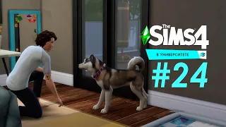 THE SIMS 4 «В Университете» #24 Получили повышение