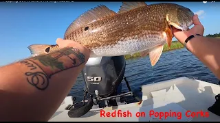 Popping Cork Inshore Fishing Alabama