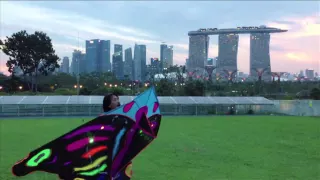 Kite Flying in Singapore - Marina Barrage