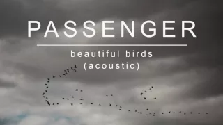 Passenger | Beautiful Birds (Acoustic) (Official Album Audio)