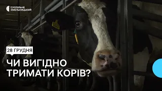 Хмельниччина виробила найбільше молока в Україні