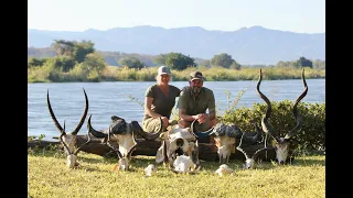 Leopard / Buffalo / Plains game Hunting Safari - Jeff & Chastity Highlights