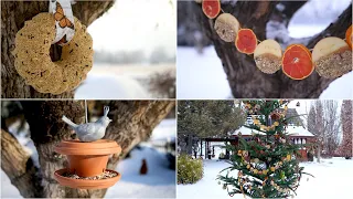 4 Ideas for Feeding Birds in the Winter ❄️