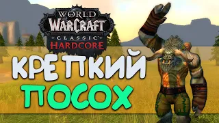 Как скатился Крепкий Посох 🐮 история персонажа из World of Warcraft Classic