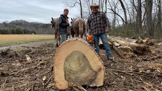 Logging with horses.