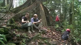 A Day in the Life of Danum Valley Field Center (DVFC)