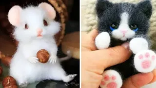 Cute/Funny Animal TikToks that Will Brighten Up Your Day ❤️️🥰