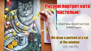 Мастер-класс "Рисуем портрет кота у зимнего окна масляной пастелью". We draw a portrait of a cat