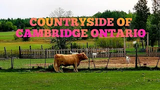 DRIVING THROUGH CAMBRIDGE ONTARIO|| EXPLORING COUNTRYSIDE OF CAMBRIDGE BEAUTY OF CANADA