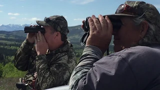 2018 Spring Bear Hunt - Montana