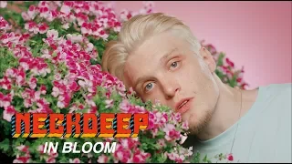 Neck Deep - In Bloom (Official Music Video)