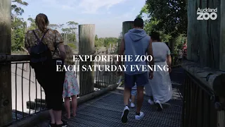 Zoo Lates are back in 2021!