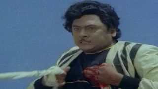 Puli Bebbuli Movie || Krishnam Raju Action Scene || పులి బెబ్బులి మూవీ || Shalimar Movies