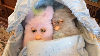Naughty Furby won't go to sleep!